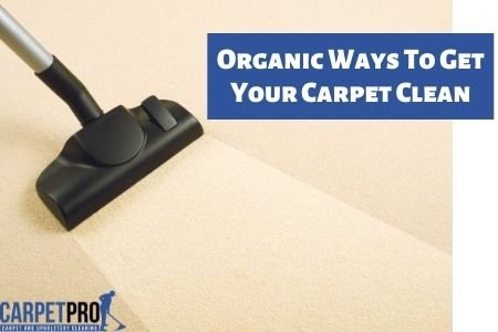 professional carpet cleaning