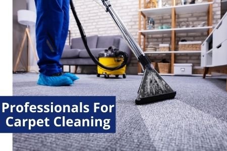 i need my carpets cleaned