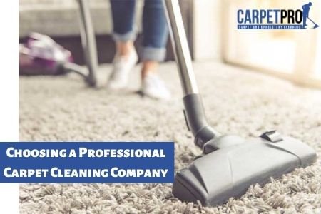 professional carpet cleaning Services