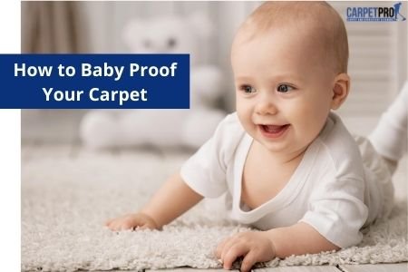 Baby proof your Carpet