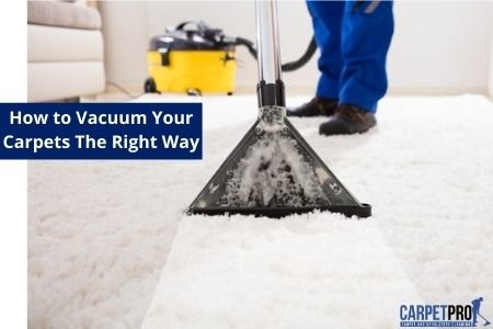how to Vacuum Your Carpets