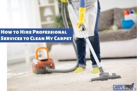 Professional Carpet Cleaners