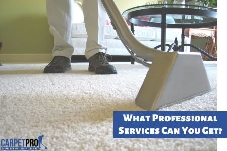 professional carpet cleaning services
