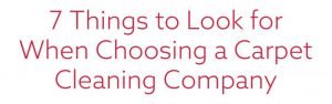 What to look for when choosing a carpet cleaning company