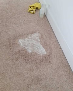 carpet stain min