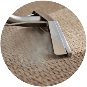 Hot Water Extraction