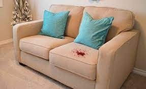 How To Clean Blood Stains From Upholstery