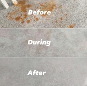 278613059 507899850988952 1973376760772655436 n