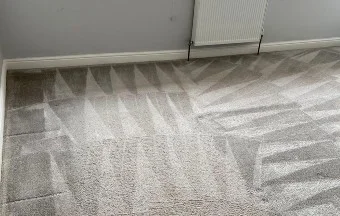 carpet-clean-1