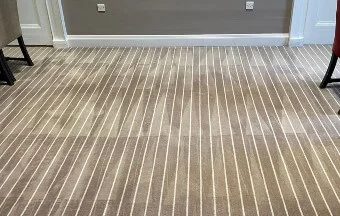 professional-carpet-cleaning