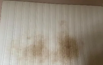 professional-stain-removal