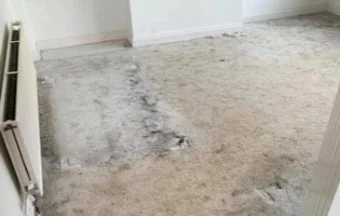 rug-cleaning-1
