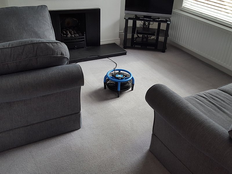 carpet-cleaning-service